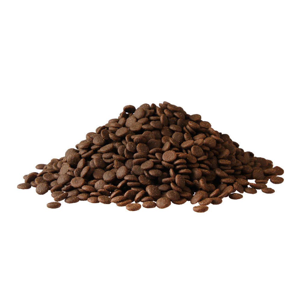 Delicious Dry food for cats